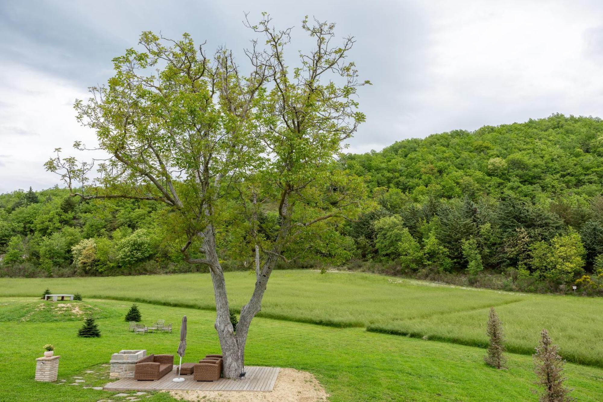 Aura Relais Hotel Urbino Luaran gambar